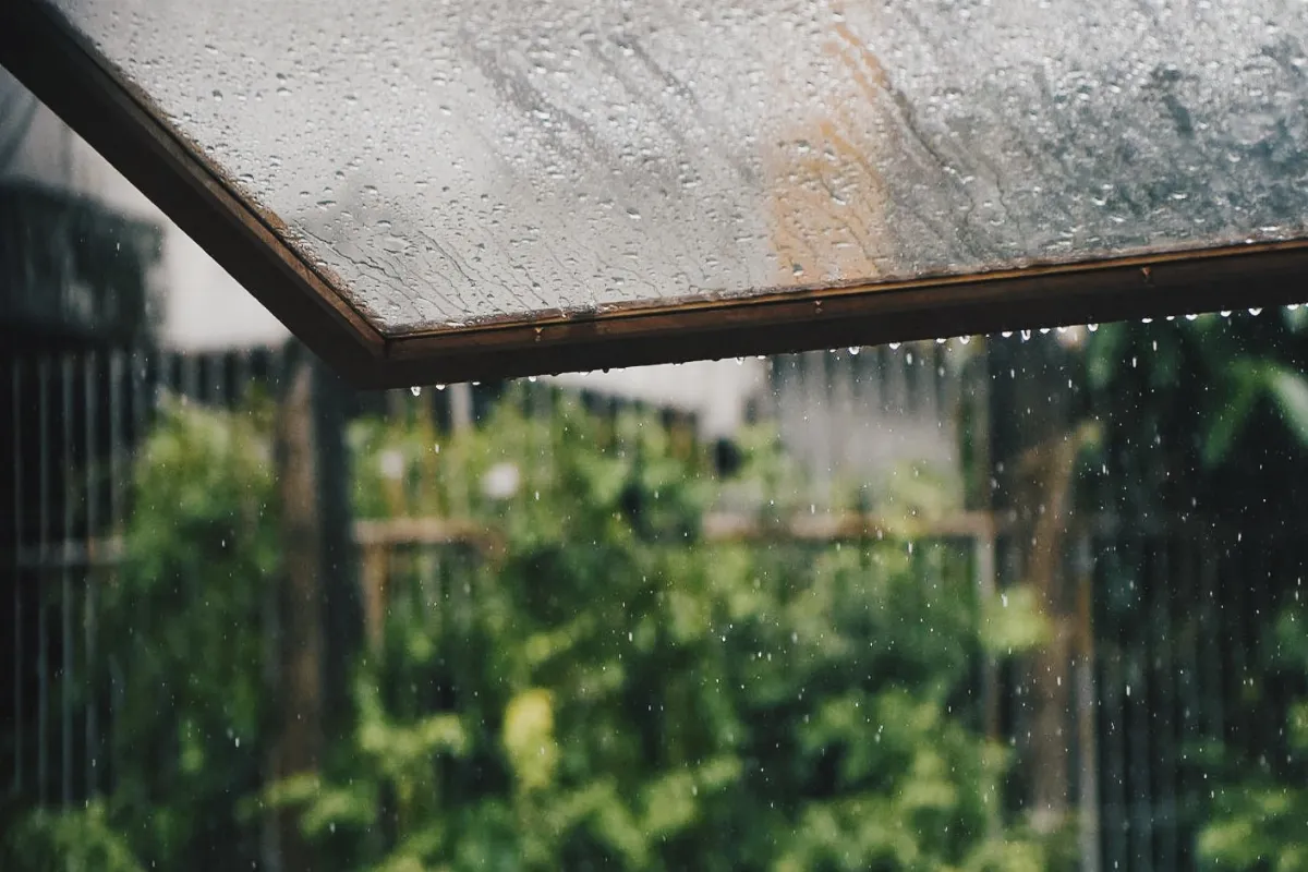 optimisez-votre-impact-ecologique-en-recuperant-les-eaux-de-pluie